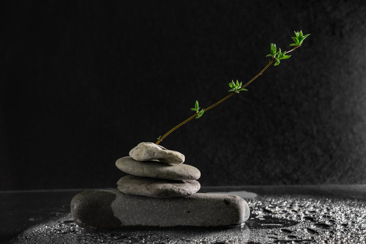 A serene still life of balanced stones and a stem with leaves on a dark, wet surface.